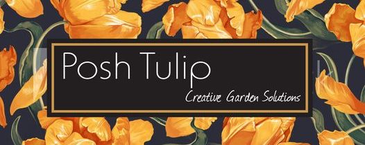 Posh Tulip